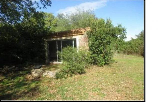 Immobile in asta di 4134 m² in vendita a Abbasanta - Foto 3