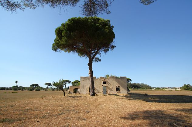 Masseria storica del 1800