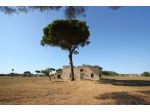 Masseria storica del 1800