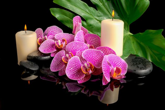 Studio Di Massaggi Olistici "Alina" A Carrara Tel:3715706921