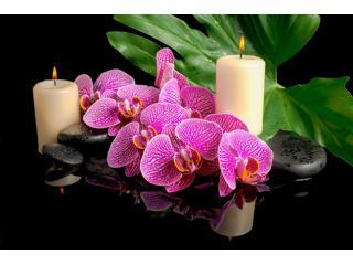 Massaggi - benessere Carrara - Studio Di Massaggi Olistici "Alina" A Carrara Tel:3715706921