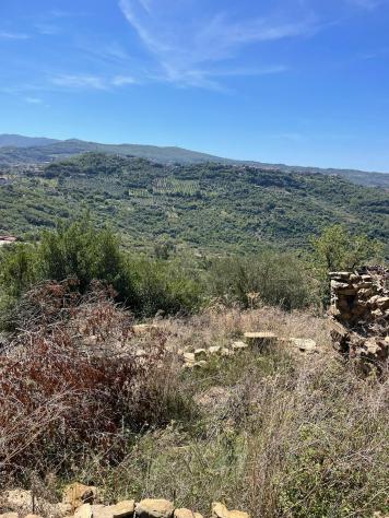 Agricolo in Via Nazionale - Foto 20