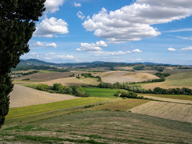 Azienda agricola in vendita a Peccioli 2700 mq Rif: 889760 - Foto 3