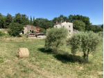 Vendesi terreno agricolo a Caprese Michelangelo