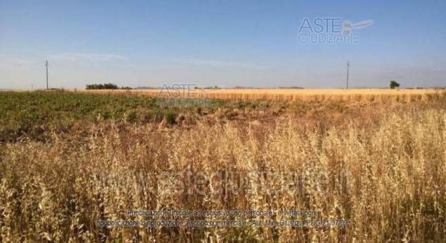 IMMOBILI-ALTRA CATEGORIA-Località Bia Mordegus - Foto 4
