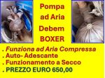 Pompa ad aria Debem Boxer
