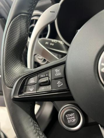 ALFA ROMEO Stelvio 2.2 Turbodiesel 210 CV AT8 Q4 Veloce rif. 24066768 - Foto 10