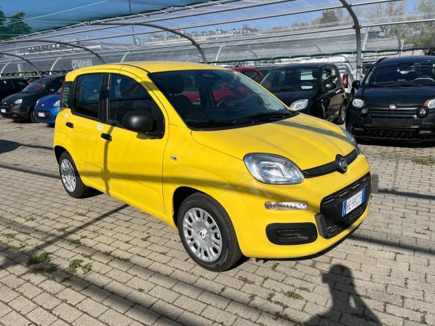 FIAT Pandina Pandina 1.0 firefly hybrid Icon s&s 65cv - Foto 3