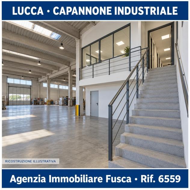 Industriale/Artigianale in vendita a Lucca - Foto 12