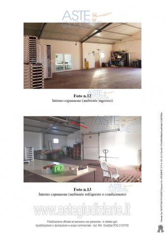 IMMOBILI-IMMOBILE RESIDENZIALE-C.da San Giovanni - Foto 7