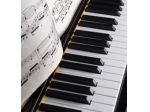 Pianista per matrimoni, eventi, concerti a Torino