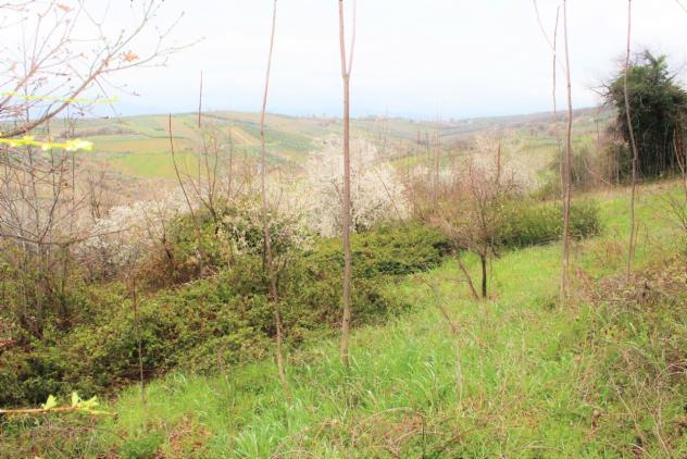 Agricolo in vendita a Mozzagrogna