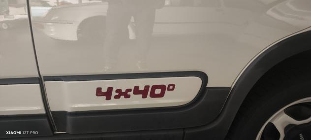 Fiat Panda SERIE LIMITATA 4x40 (0 KM NUOVA) - Foto 2