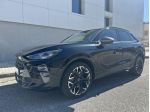 CUPRA Terramar Terramar 2.0 tsi Impulse 4drive 204cv dsg
