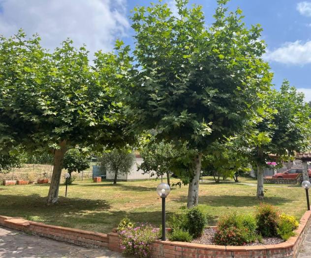 Villa in vendita a Porcari 150 mq Rif: 1386676 - Foto 8