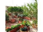 Ananda B&B