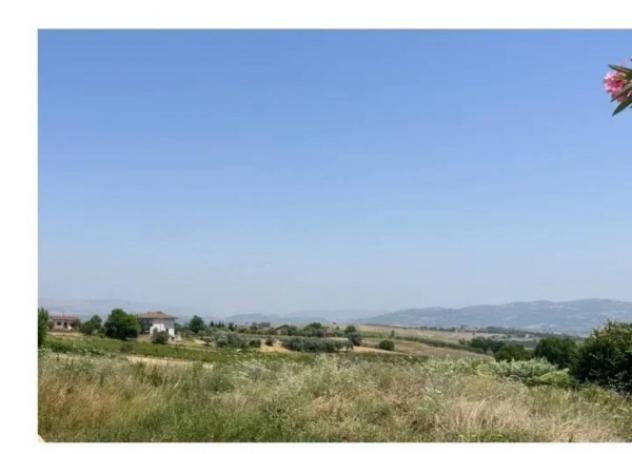 Immobile in asta di 6000 m² in vendita a San Giorgio del Sannio - Foto 3