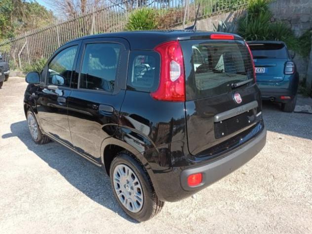 FIAT Panda 1000 HYBRID PANDINA ICON 70CV 5P PACKCITY ITALIA rif. 23999344 - Foto 3
