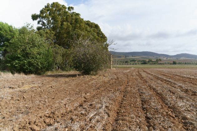 Magliano in Toscana, Podere Pantanella unione di passione e buon gusto - Foto 18
