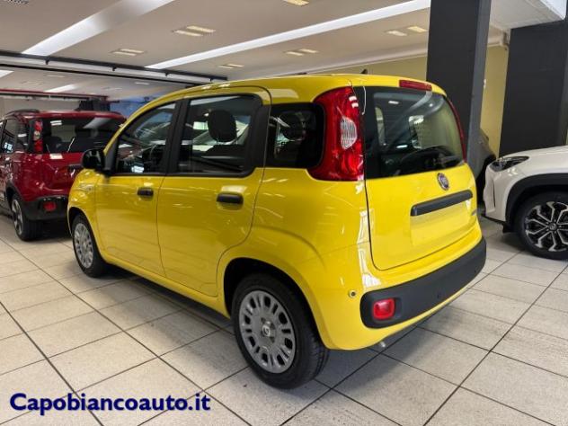 FIAT Panda 1.0 FireFly S&S Hybrid POP KM0 PROMO rif. 23776908 - Foto 5