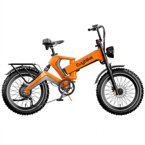FAT BIKE EUYBIKE K6F 1000W 48V 35AH NUOVO - Foto 3
