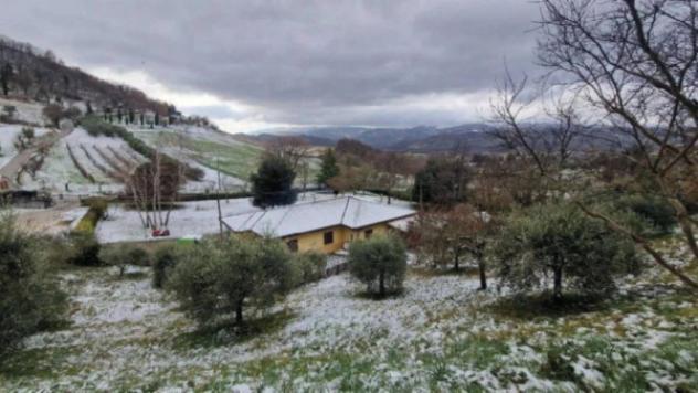 Immobile in asta di 56000 m² in vendita a Nocera Umbra - Foto 9
