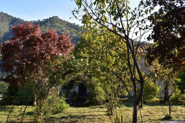 Colonica in vendita a Sant'Ilario di Brancoli - Lucca 230 mq Rif: 1365529