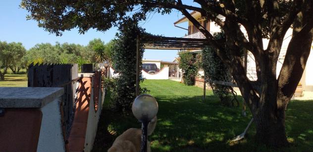 VILLA di 10 vani e di 350 mq (ORBETELLO) rif. T 100 - Foto 4