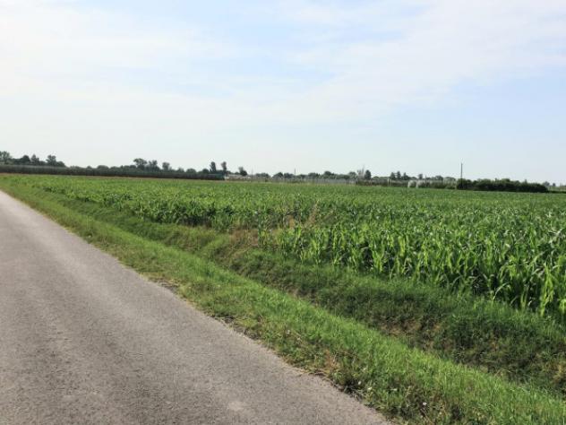 Rustico / Casale di 400 m² in vendita a Bomporto