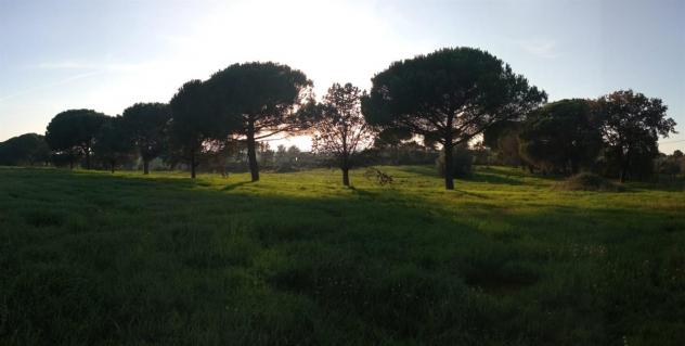 Terreno Agricolo - Rif. 2445 - Foto 12