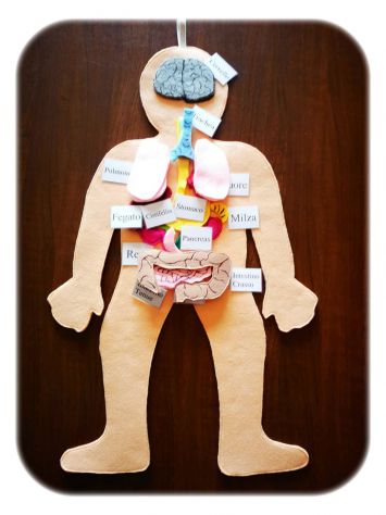 Libri Sensoriali bambini "Il Corpo Umano" - Foto 4