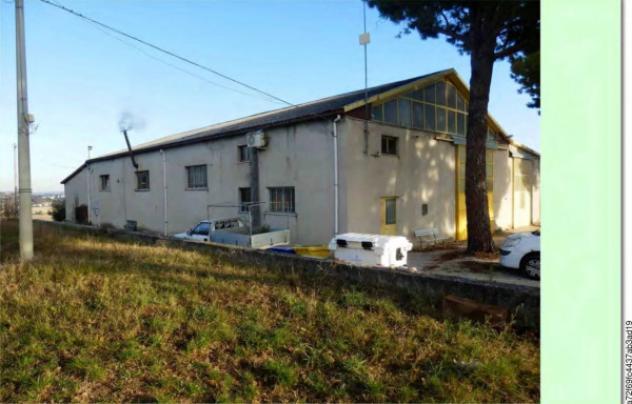 Immobile in asta di 839 m² in vendita a Mogliano - Foto 13