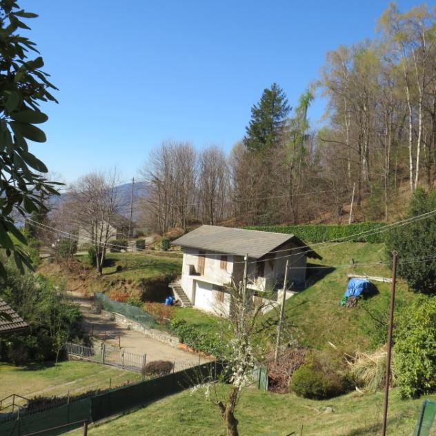 Miazzina - ZONA SASSO DI PALA VENDESI VILLA CON GIARDINO PRIVATO - Foto 5