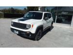 Jeep Renegade 2.0 Mjt 170CV 4WD Active Drive Low Trailhawk