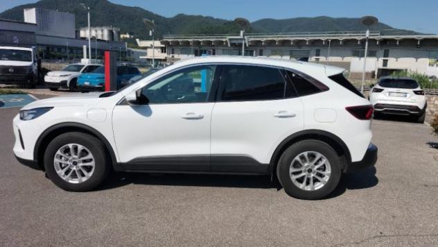 FORD Kuga Plug In Hybrid 243 CV CVT 2WD Titanium rif. 24086605 - Foto 8