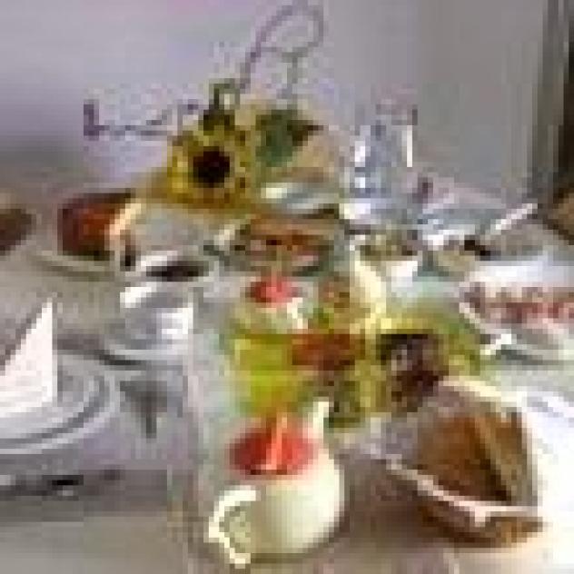 B&B Sot i volz