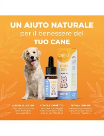 Olio CBD Cane XL 10% - Foto 10