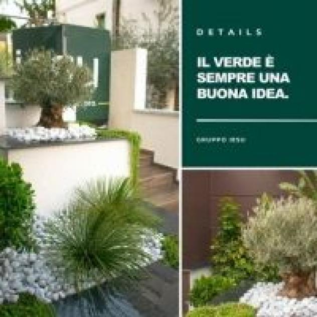 Iesu Spa