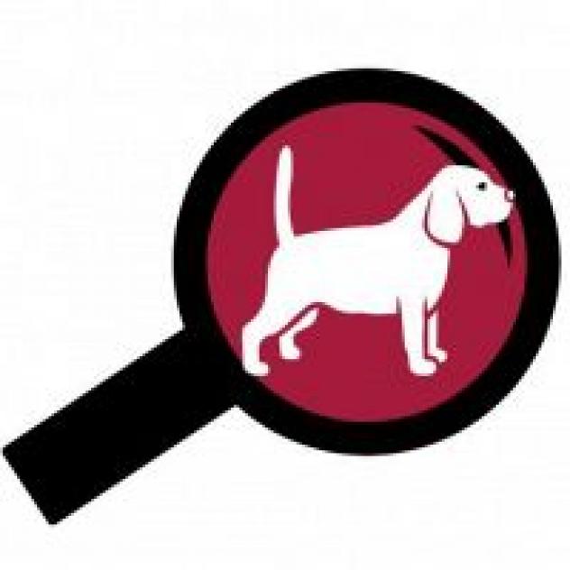 Trend Finders SRL | Web Agency Fano