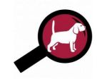Trend Finders SRL | Web Agency Fano