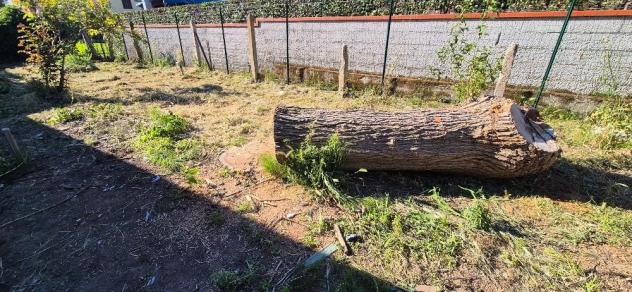 Terratetto in vendita a Casciavola - Cascina 140 mq Rif: 1423650 - Foto 6