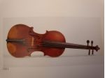 Lezioni di violino