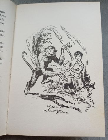 L'isola senza nome di Remo Fusilli, 1956. - Foto 3