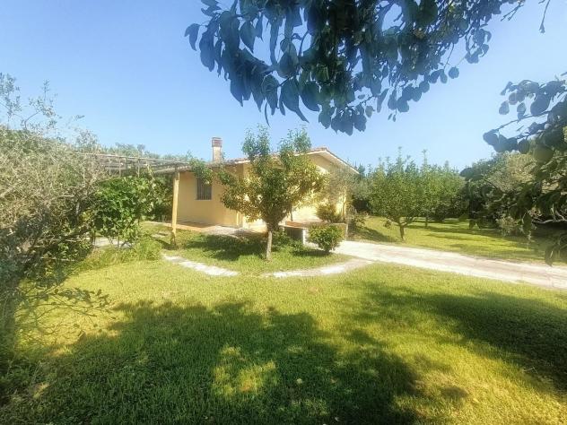 Terreno agricolo in vendita a Battilana - Carrara 1750 mq Rif: 1427731