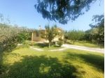 Terreno agricolo in vendita a Battilana - Carrara 1750 mq  Rif: 1427731