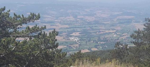 Porzione di casa in vendita a Massa Martana - Foto 6