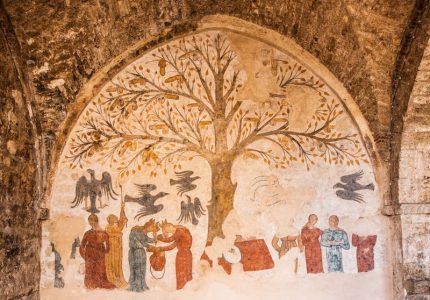 Segretaria amministrativa categorie protette