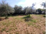 Terreno agricolo in vendita a Luni 860 mq  Rif: 1053527