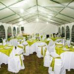 GAZEBO5 X 12 X 2,2/3,1 MT. LA DUE20 LINA PROFESSIONALE - Foto 3