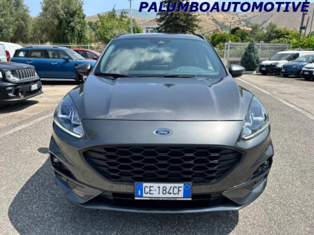 FORD Kuga 1.5 EcoBlue 120 CV 2WD ST-Line rif. 23904154 - Foto 3